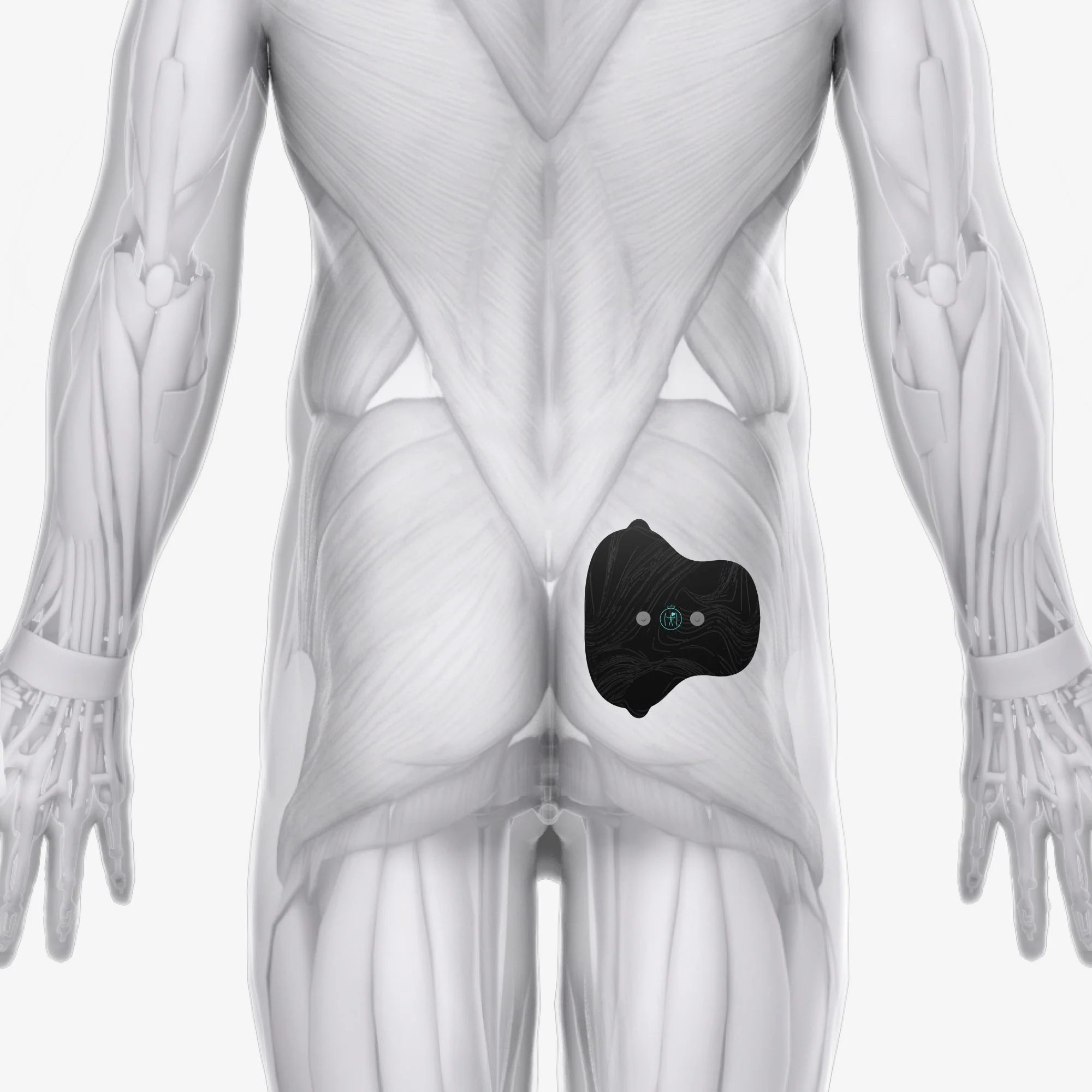 Halo Lower Body Bundle
