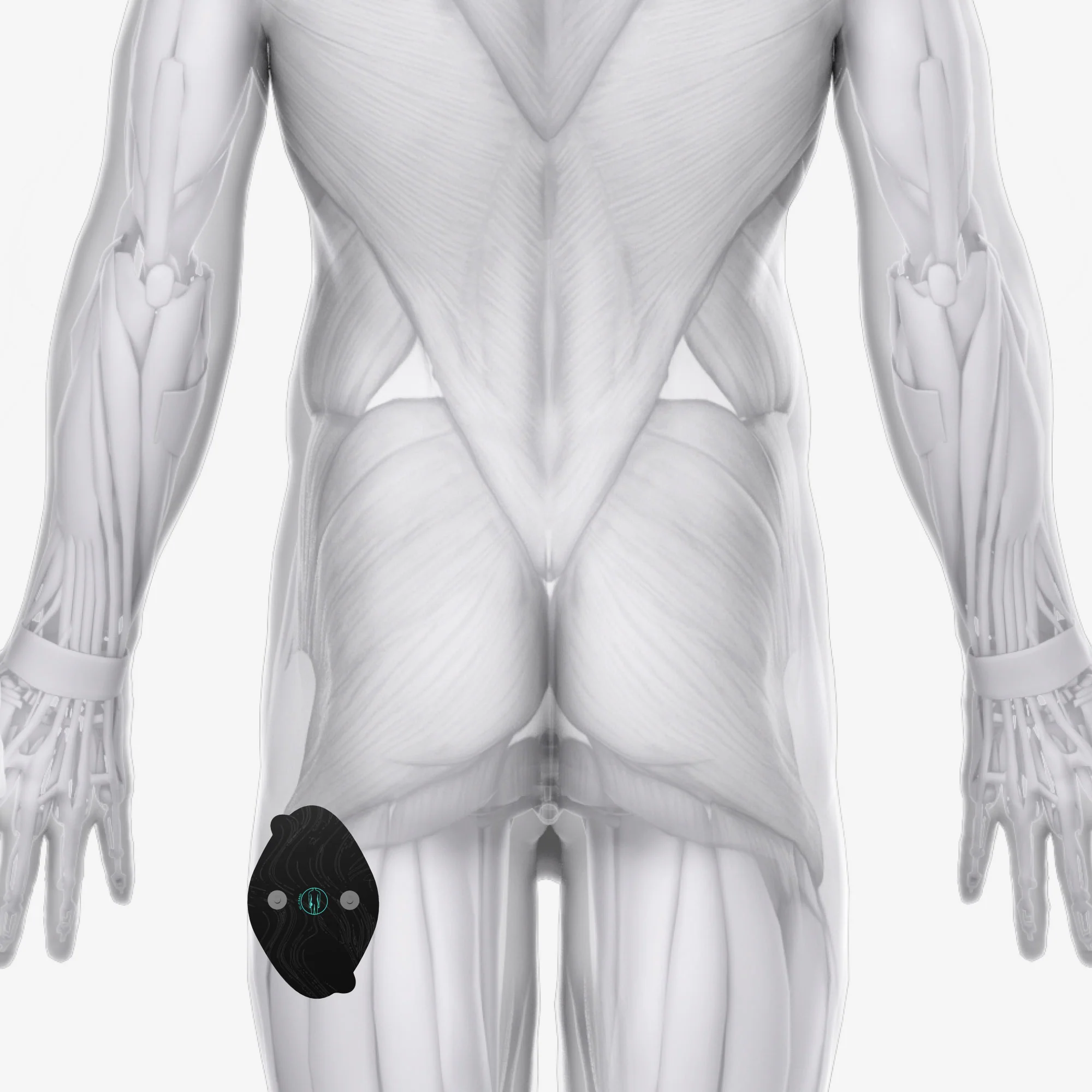 Halo Lower Body Bundle