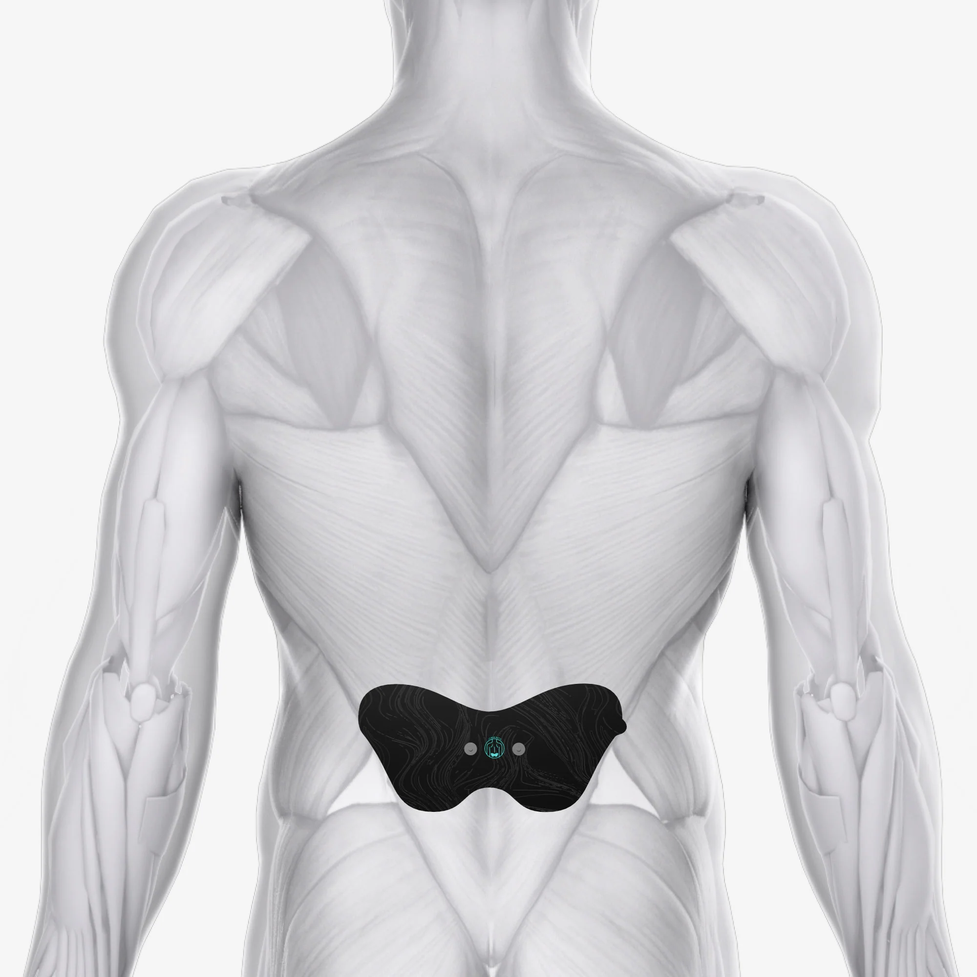 Halo Upper Body Bundle