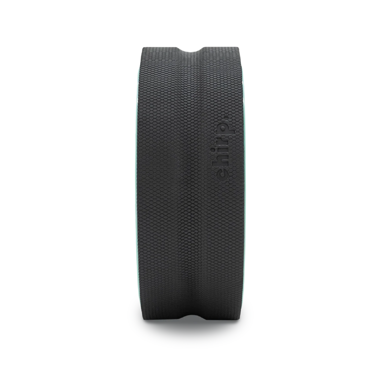 Open Box Chirp Wheel+ 12" Gentle
