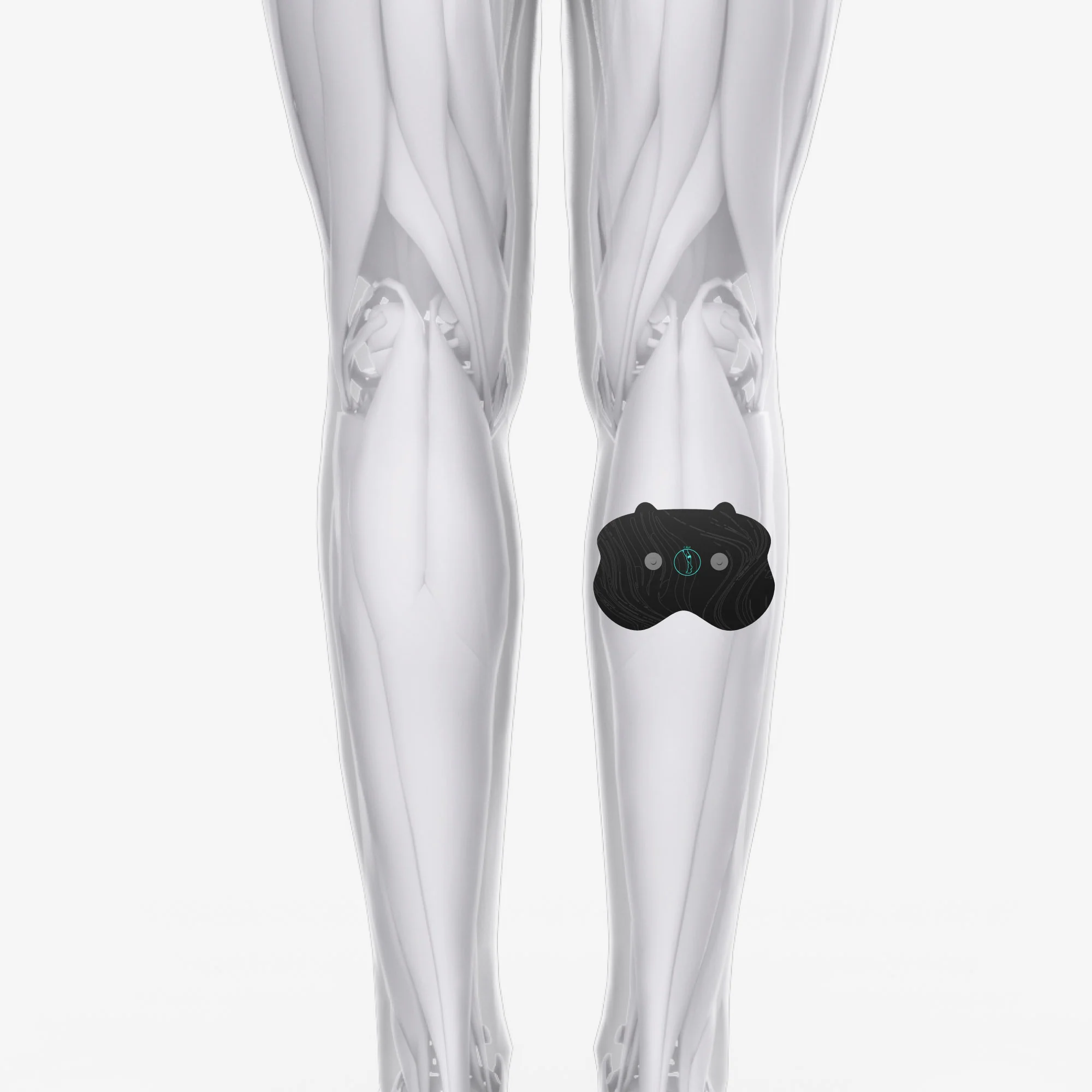 Halo Calf Pad Set 3-Pack